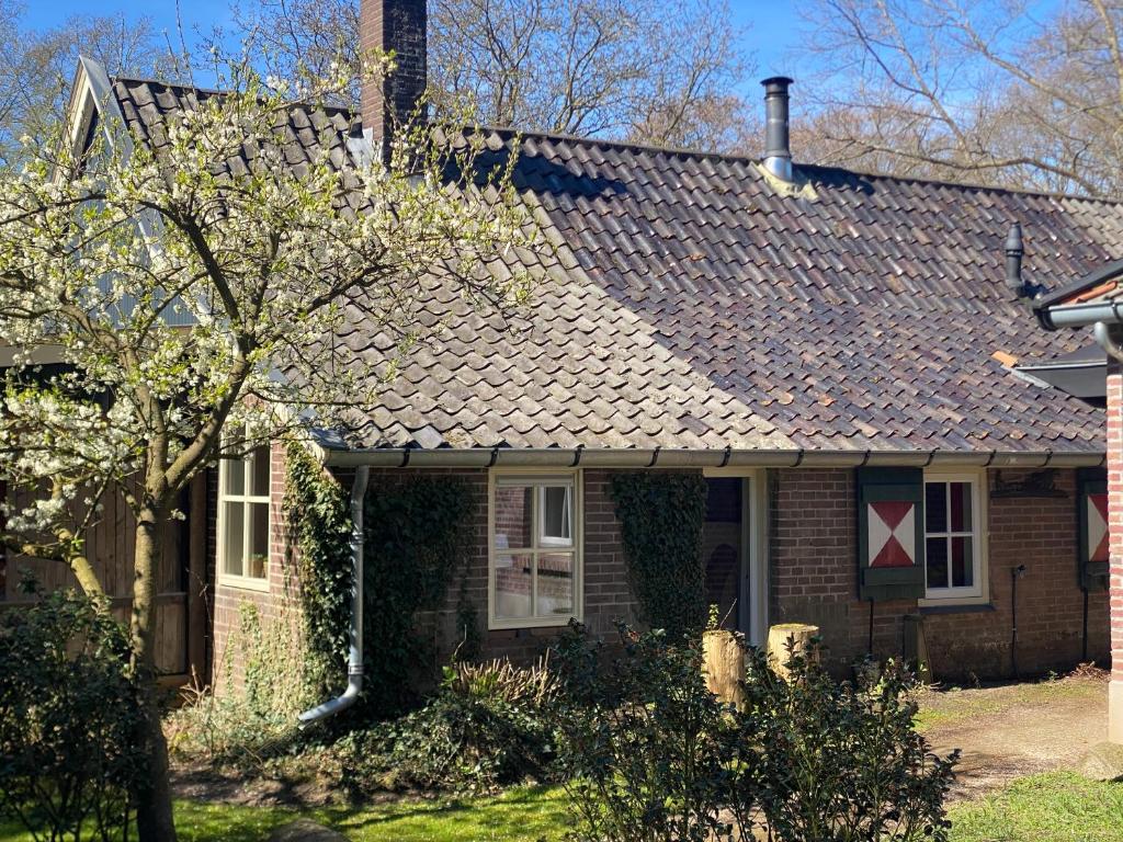 a house with a shingled roof and a tree at Den Doezel in Vorden