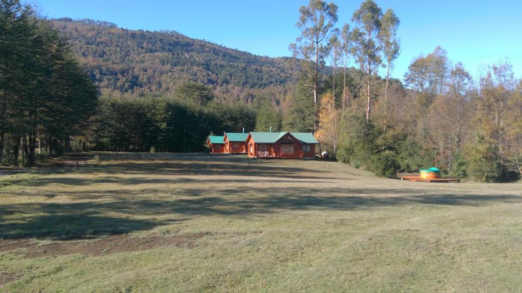 a large field with a house in the middle of a forest at Cabañas Don Gabriel in Caburgua