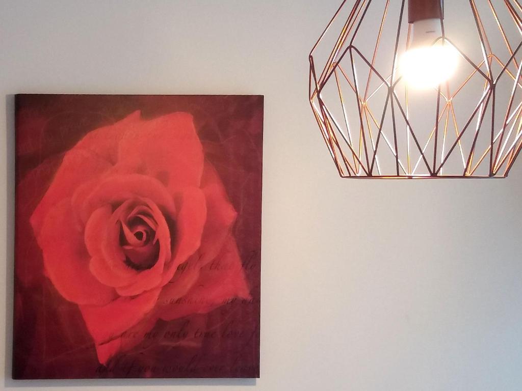 Fotografie z fotogalerie ubytování Appartements Erika v destinaci Falzes