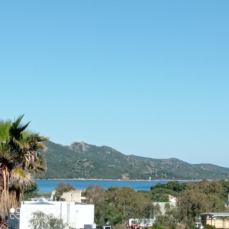 a view of the ocean and a palm tree at résidence la citadelle in Saint-Florent