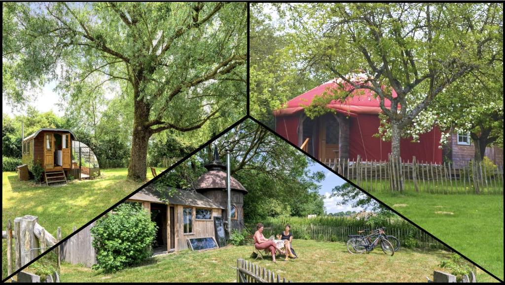 a group of four pictures of a house and a tree at Les insolites de la Ferme de Froidefontaine in Havelange