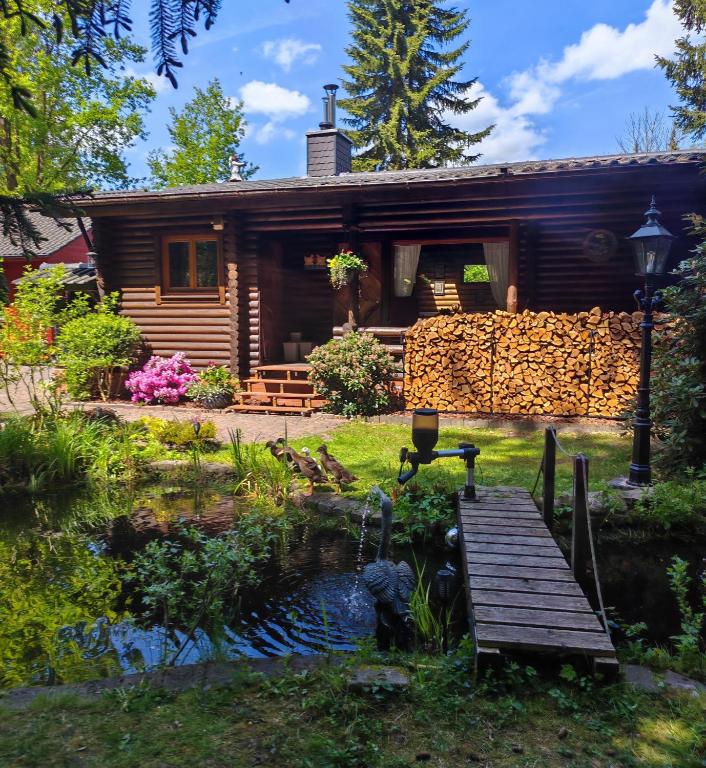 a log cabin with a pond in front of it at Das Heide Blockhaus in Handeloh