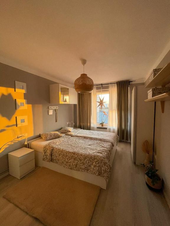 a bedroom with a large bed and a window at Apartament Loft Ultracentral Târgu Mureș in Târgu-Mureş