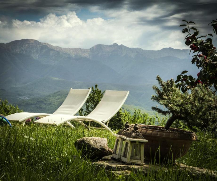 two white chairs sitting in the grass with a plant at Nido di Luna in Mulazzo