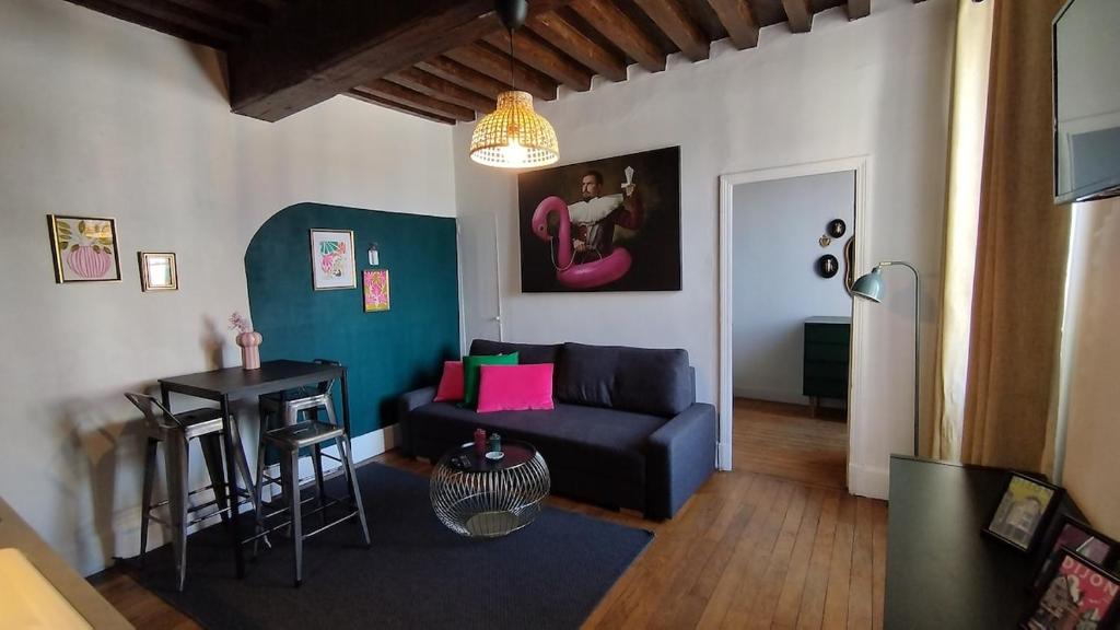 charmant appartement hyper-centre