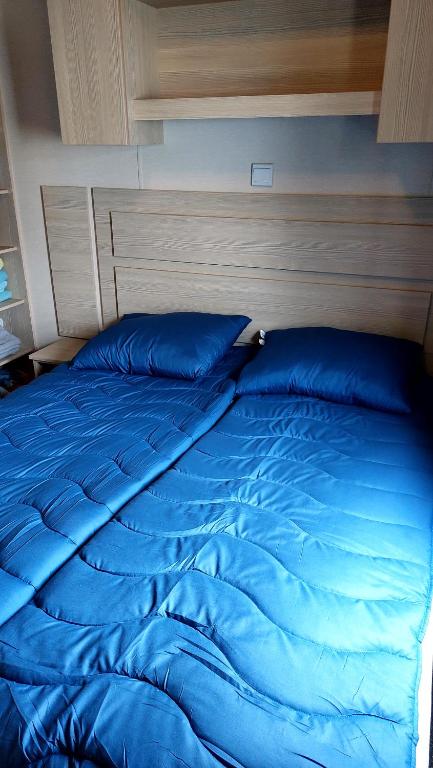a blue bed in a bedroom with a wooden headboard at Beach Resort Kamperland - 765 in Kamperland