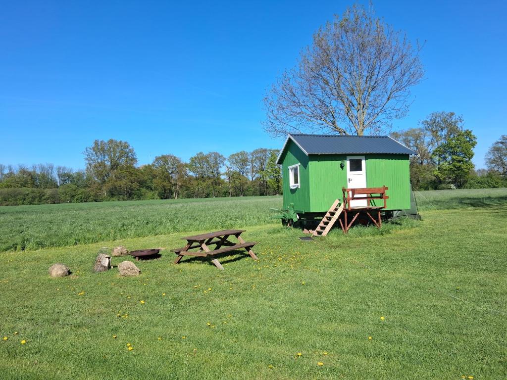 a green shed and a picnic table in a field at Tiny House in Münster
