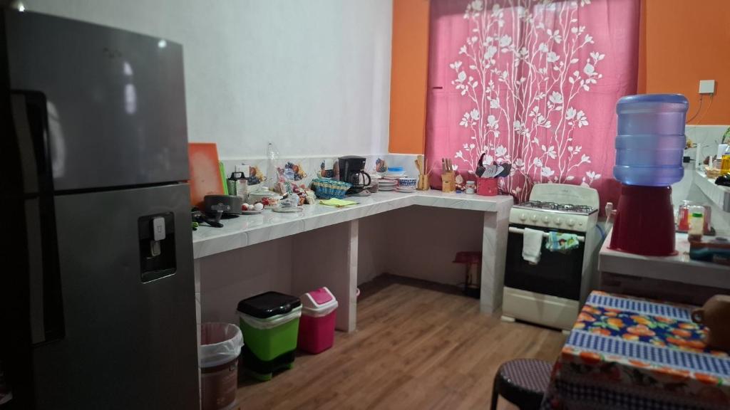 a small kitchen with a counter and a refrigerator at Hostal Las Armonías 3 in Panajachel