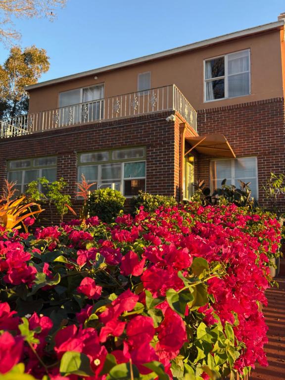 a large bed of red flowers in front of a house at Palm Beach Mermaid in West Palm Beach