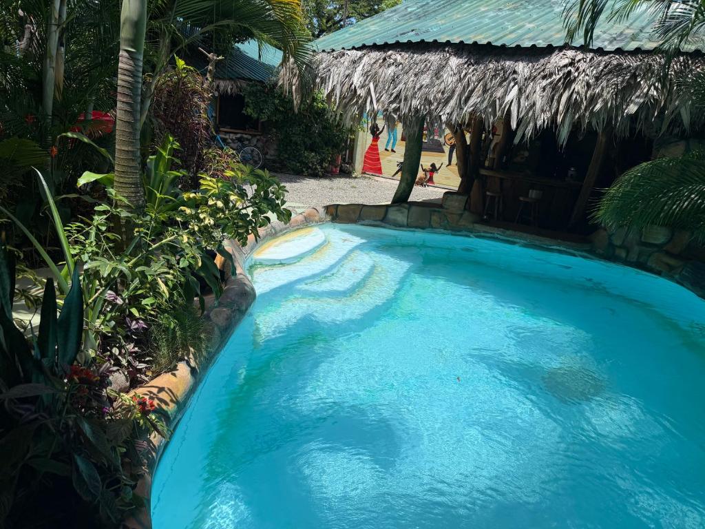 a large blue swimming pool next to a house at Cahuita Vibe in Cahuita