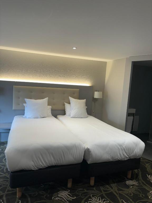Logis HOTEL DU PARC - 标准双床间