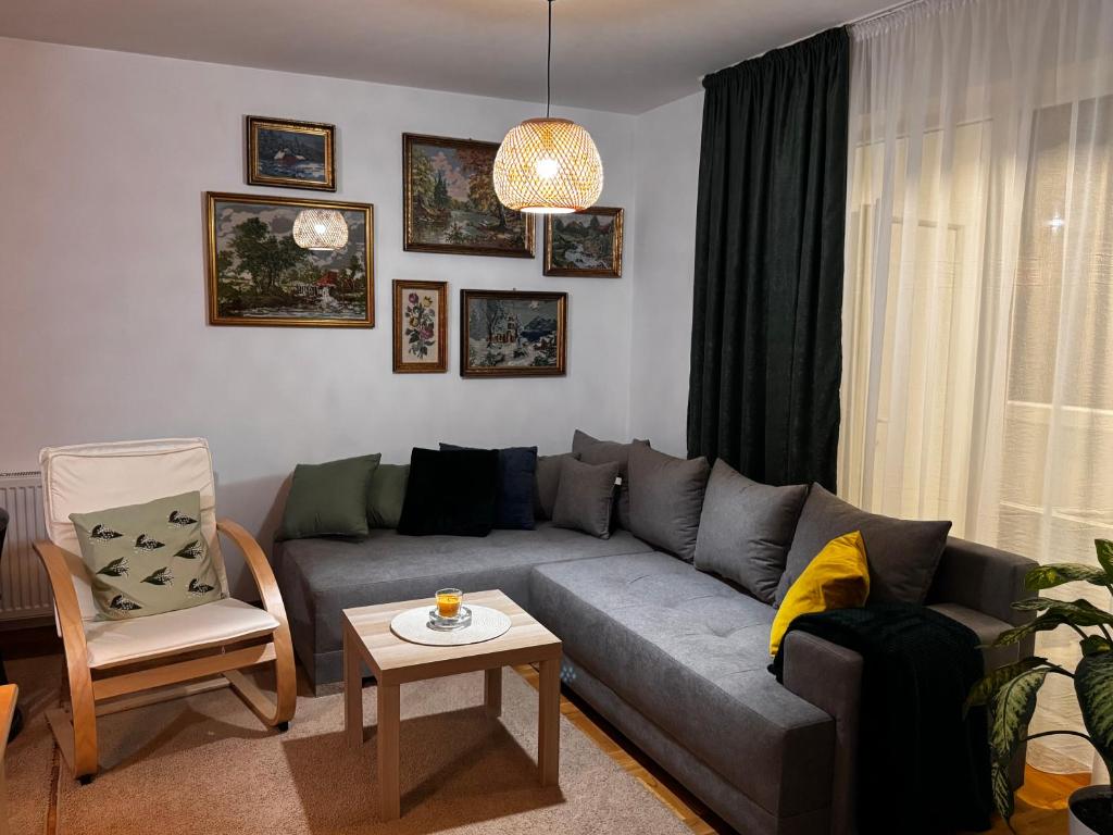 a living room with a gray couch and a table at Mira in Čajetina