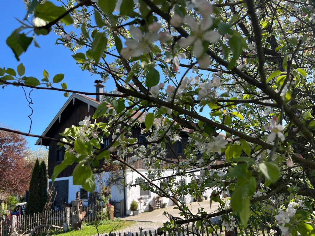 Höglerhof - Hüttenzauber - Appartamento Con 1 Camera Da Letto