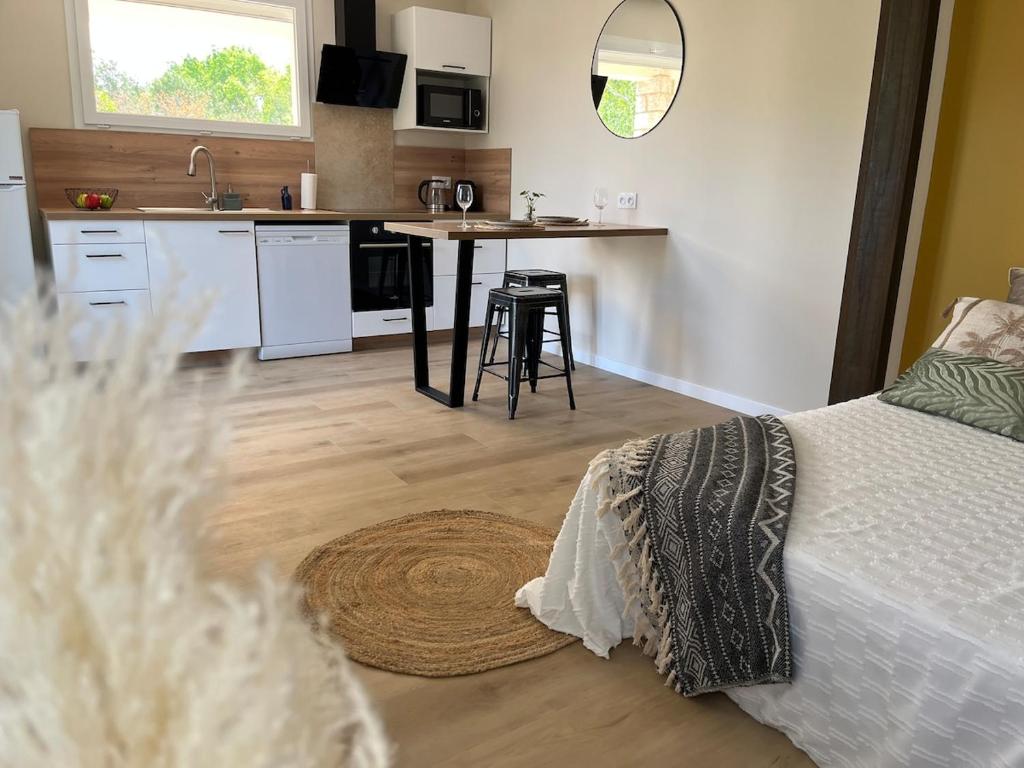 a bedroom with a bed and a kitchen with a sink at Charmant studio proche du centre-ville in Orange