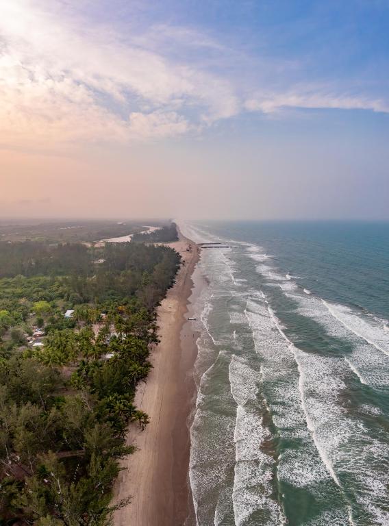 an aerial view of a beach in the ocean at Hotel Royal Garden Tuxpan in Cobos
