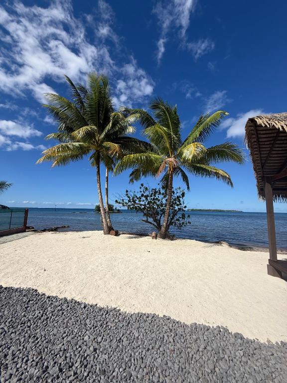 Le Rainoa - Beach House - photo 11 - Raiatea, Polynésie