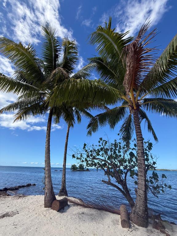 Le Rainoa - Beach House - photo 12 - Raiatea, Polynésie