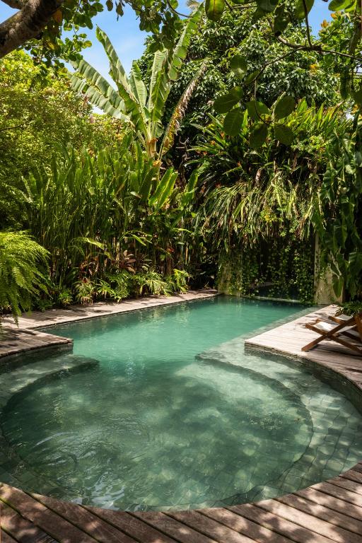 a swimming pool in the middle of a forest at Pousada Nativa in Caraíva