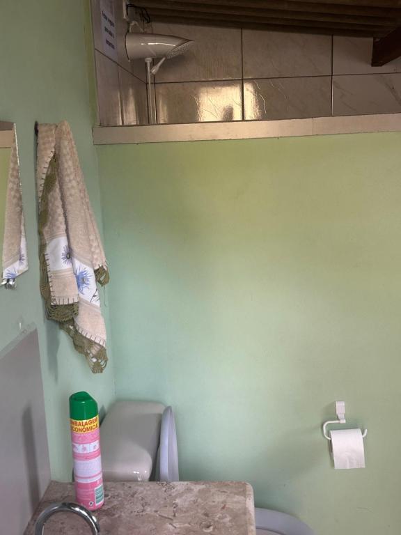 a bathroom with a toilet and a green wall at Chalé do Carlos in Ibiúna