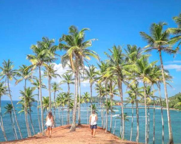 two people walking on a beach with palm trees at brun & browns in Matara