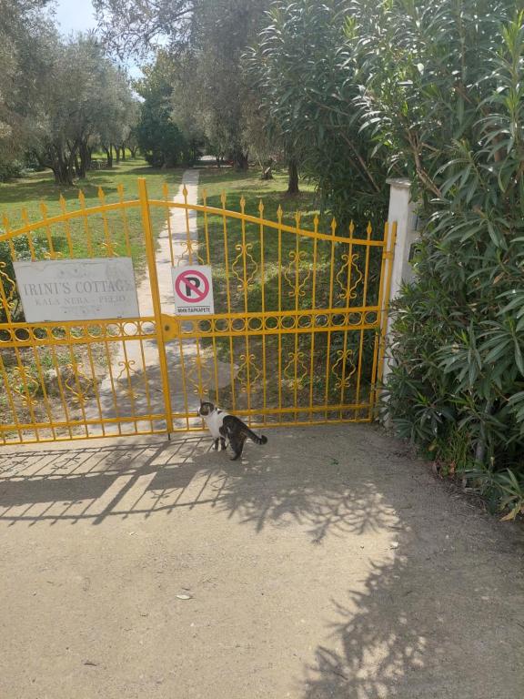a cat standing next to a yellow gate with a no parking sign at Irinis Cottage in Kala Nera