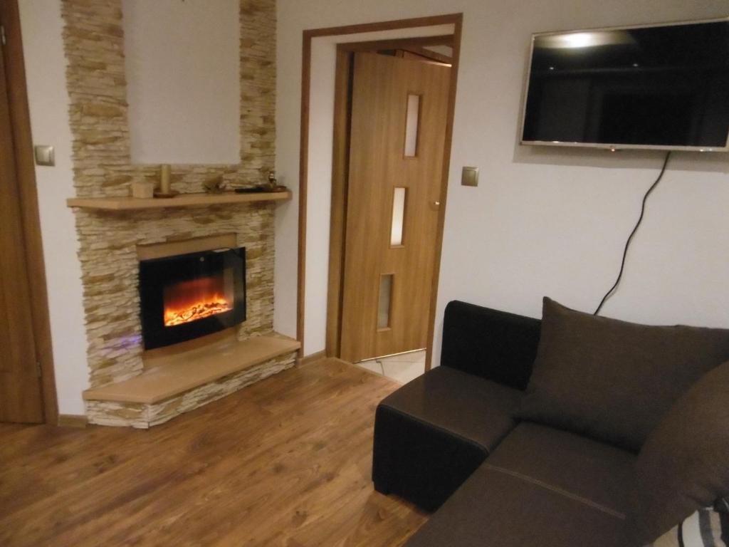 a living room with a couch and a fireplace at Apartament U Janusza in Nowy Targ