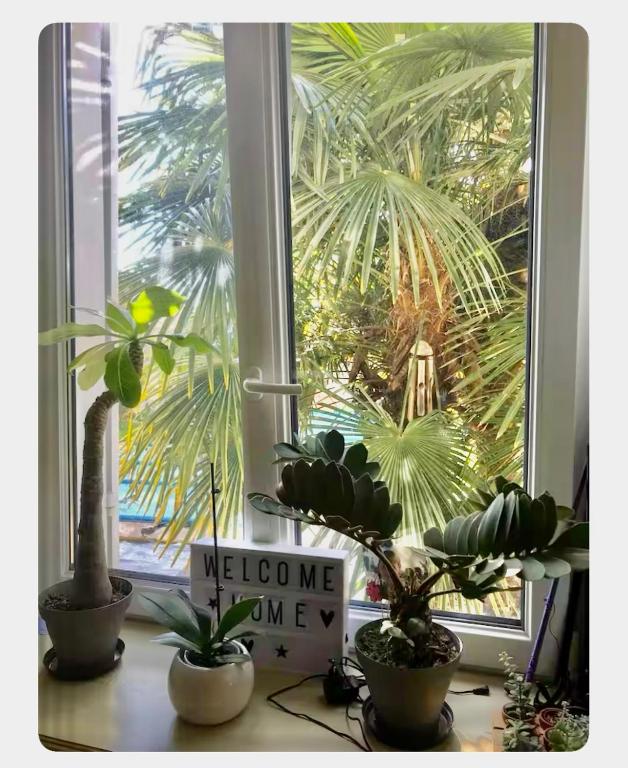 ein Fenster mit Topfpflanzen und ein Willkommensschild auf einem Tisch in der Unterkunft Bugatti Chill in Moncé-en-Belin