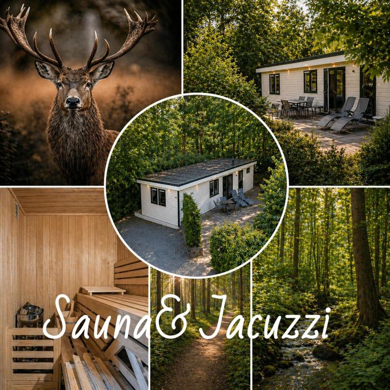a collage of pictures of a house and a deer at Bos & Bubbels Chalet in Epe