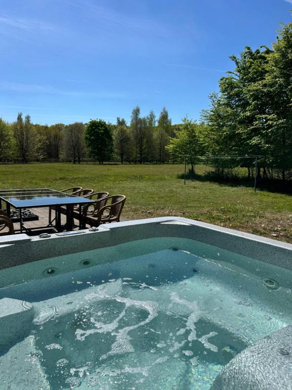 ein Swimmingpool mit Tisch und Picknicktisch in der Unterkunft Unieke vakantiewoning met jacuzzi in de natuur in Het Laar
