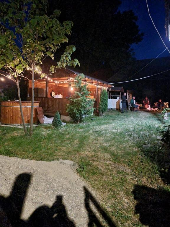 a group of people standing in a yard at night at Cabana Drumetului Borzesti in Borzeşti