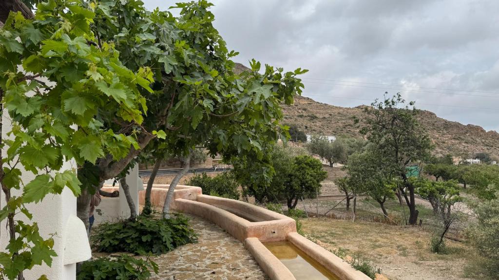 Cortijo rural la alberca - Habitación Doble Deluxe