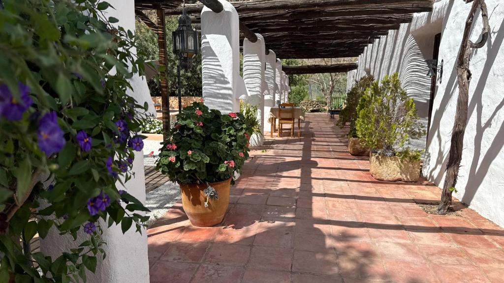 Cortijo rural la alberca - Apartment Mit 1 Schlafzimmer, Balkon Und Bergblick
