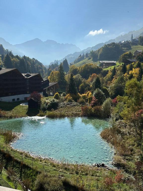 a pool of water in the middle of a river at River Dream in Val-d'Illiez
