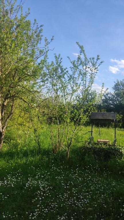 a park with a bench in the middle of a field at Saint varent guest place in Saint-Varent