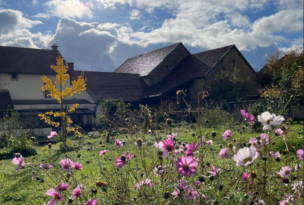 a field of flowers in front of a house at Cense des Possibles, Forêt et Prairie in Darcey