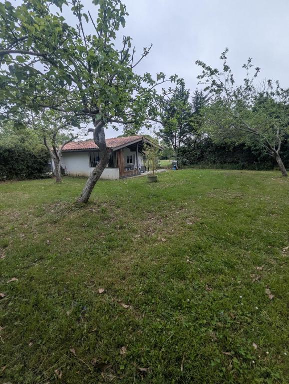 a house in a field with a tree at Maisonnette chez Laurette in Saint-Martin-de-Seignanx