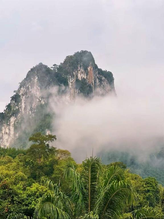 a mountain in the mist with a palm tree in the foreground at KhaoSok Malin Glamping in Ban Bang Thong