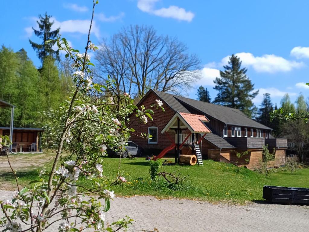 a house with a flowering tree in front of it at Dammann's Hof in Bispingen