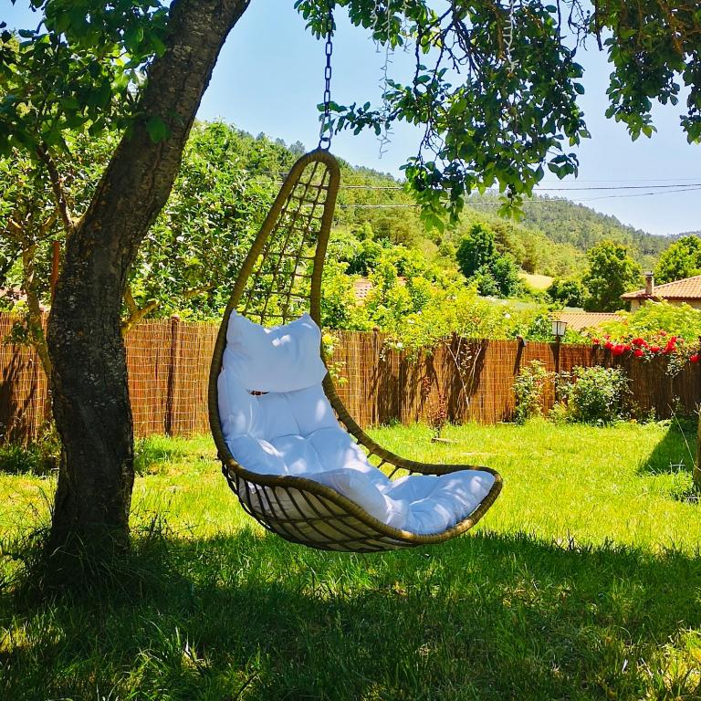 a swing hanging from a tree in a yard at Villa Pepe Paz y Encanto Natural in Villarán