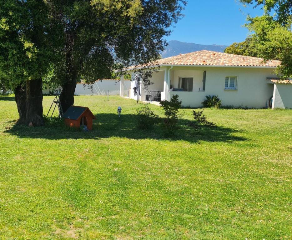 a white house with a tree and a yard at Location "Casa Monna" in Prunelli-di-Fiumorbo
