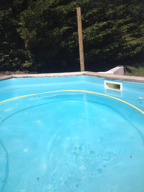 a large blue pool of water with trees in the background at Fraises des bois in Saint-Priest