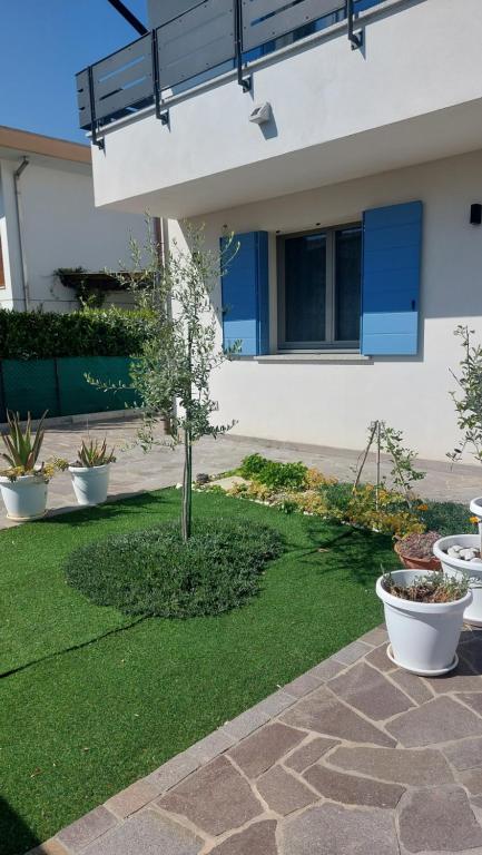 a small tree in the middle of a yard at B&B Montegrappa in Mestrino
