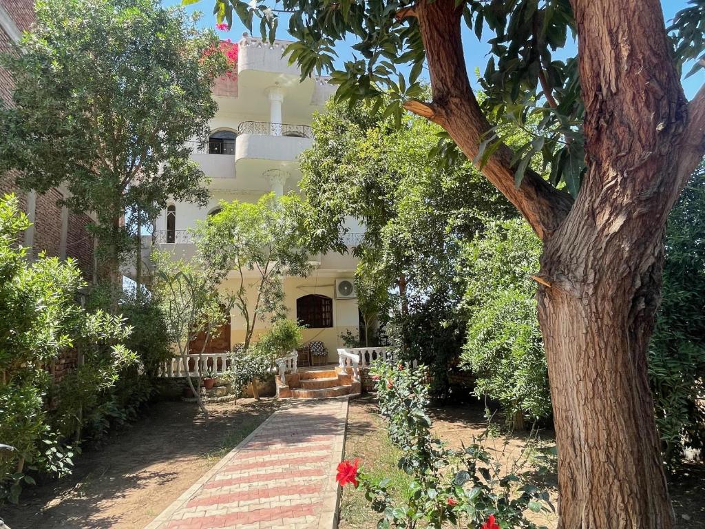 a courtyard of a house with a tree at Sunflower in Al Aqālitah