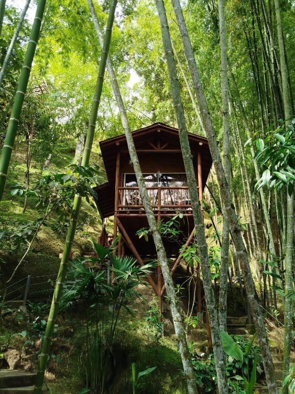 a tree house in the middle of the forest at La Chorrera ecohotel in Cocorná