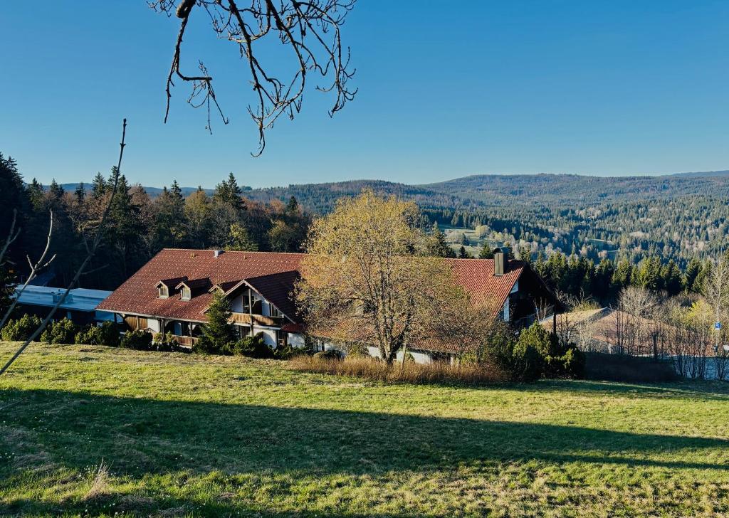 a house in the middle of a grassy field at Aotearoa - Mountain apartment in Bavaria, Mitterdorf - Mitterfirmiansreut in Mitterfirmiansreut