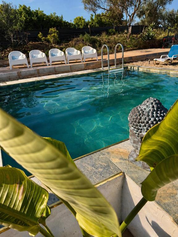 a swimming pool with chairs and a fountain at Casa Oliveira in Silves
