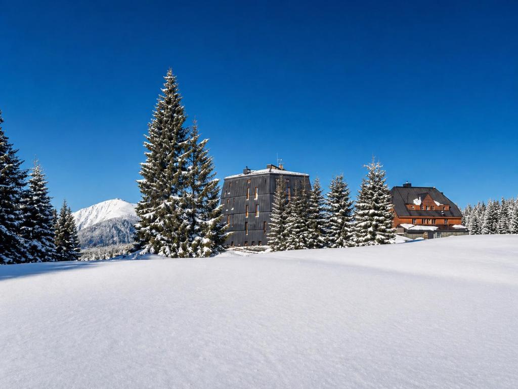 a building in the snow with snow covered trees at Apartmán 18 Lidická bouda in Pec pod Sněžkou