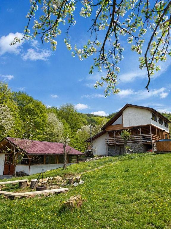 a building in the middle of a field with a grass yard at Cabana Arini 1954 in Vişeu de Jos