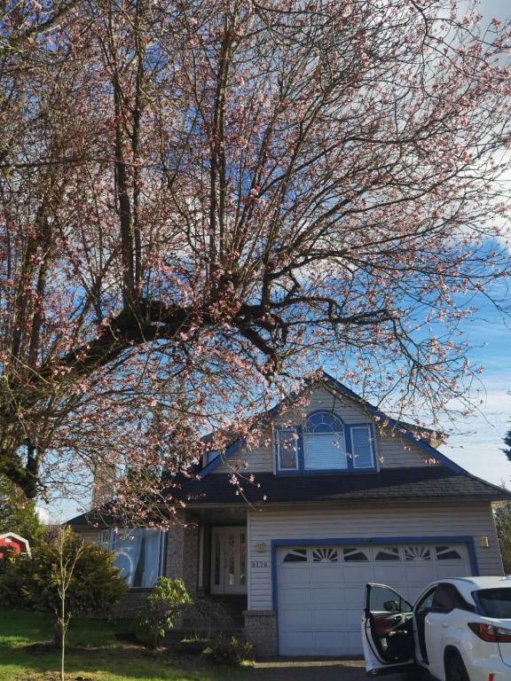 a white truck parked in front of a house at Cheng Rental in Surrey