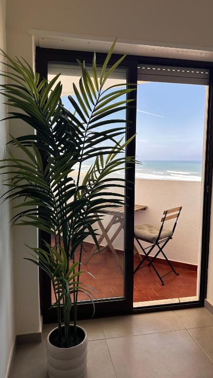 a potted plant in a room with a view of the ocean at Face a l'océan, vue panoramique, 3 min a pied de la plage, Praia da areia branca in Praia da Areia Branca